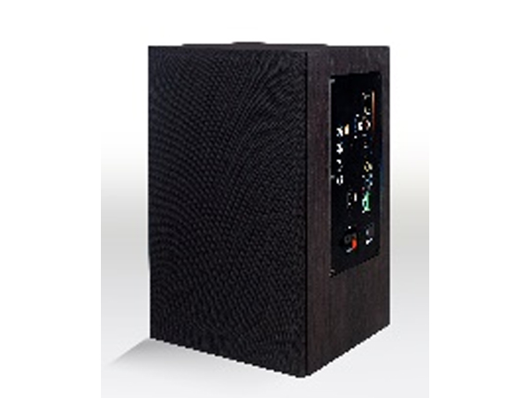 标准接口IP网络音箱